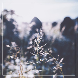 女人脱精光让男人桶
