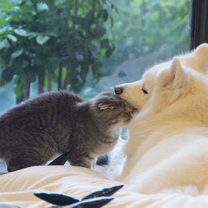 女人脱精光让男人桶
